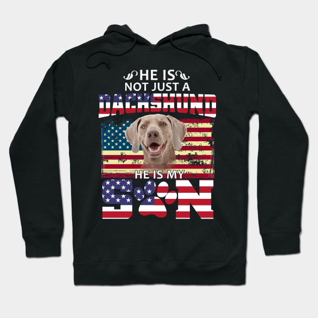 He Is Not Just A Dachshund He Is My Son Hoodie by Pelman